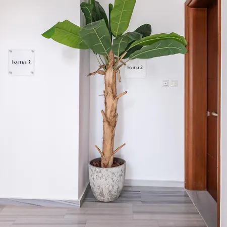 Coastal Bliss - 3 Min To - Gaia 1 コス・タウン